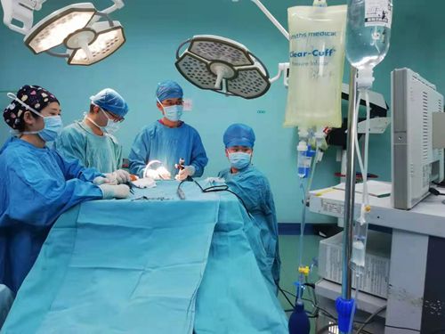 團隊實施3D技術手術中_副本.jpg